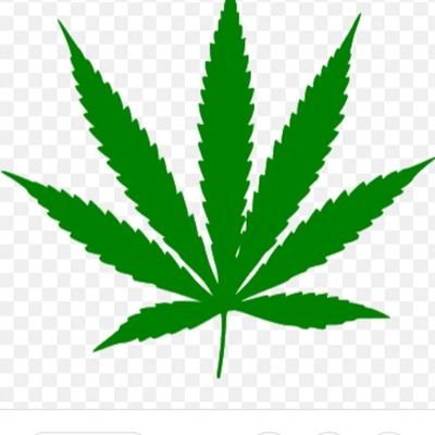 BleckSirios's profile picture. Eu prometo legalizar a erva