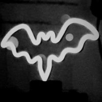 batwings(@batwingsmusic) 's Twitter Profile Photo