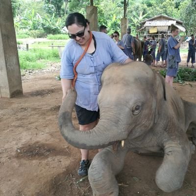 JulieD_ON's profile picture. Health promoter, social worker, volunteer, chorister, perpetual student, dragonboat racer, hiker, picture taker, foodie, wife, and cat pillow.