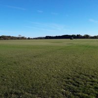 New Forest Turf Supplies Ltd (@vickyfo85604942) 's Twitter Profile Photo