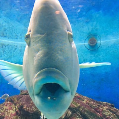 soccerk79805016's profile picture. 