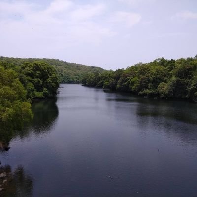 rpar_arun's profile picture. 