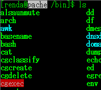 rndsv_statusbot's profile picture. @waki_rendaの管理するサーバーのuptime情報