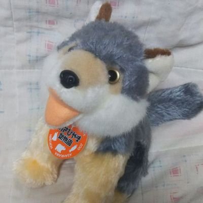 狐楽のプロフィール写真