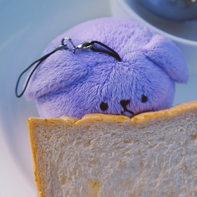 Suna_2204's profile picture. INFP || อาราชิ || สตาร์ทโตะ ||独り言多すぎ || คสอ || yume100 || ไอจือวอน || น้องสา || zsww || แมว || พิออน่า || นิยายวาย