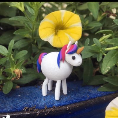 complexunicorn's profile picture. ENFP owned by a feline overlord. 🐈 I’m a tad sweary.🦄 🌈 🦋