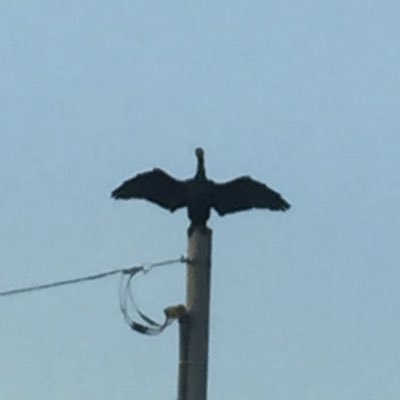 爆雷さんのプロフィール画像