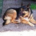 John Derks - @Johno65 - Twitter