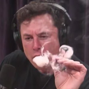 neurallink69's profile picture. I Tweet Elon Musk Every FUCKING DAY TIL HE RELEASES NEURAL LINK