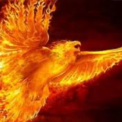 I do youtube and love to play fortnite, I do many types of videos such as high kills or whatever you guys suggest.