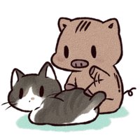 日向夏🐗(@NaMelanza) 's Twitter Profile Photo