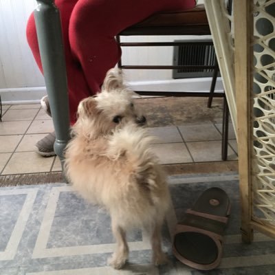 QueenVibes2's profile picture. I’m one breakdown and one gay lawyer away from becoming Grace Adler.