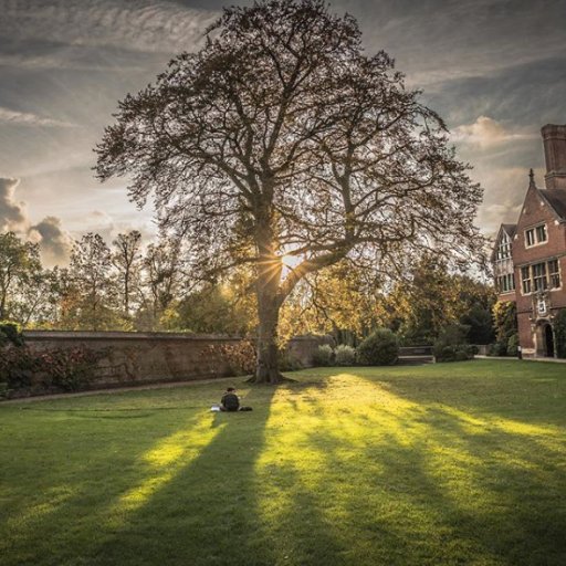 The Faculty of Asian and Middle Eastern Studies at University of Cambridge