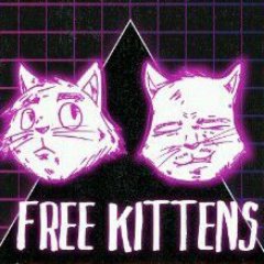 Free Kittens Comedy