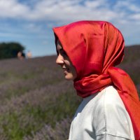 Hande Alptekin, PhD (@handishanim) 's Twitter Profile