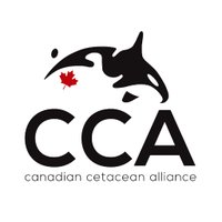 Canadian Cetacean Alliance(@CETACanada) 's Twitter Profileg