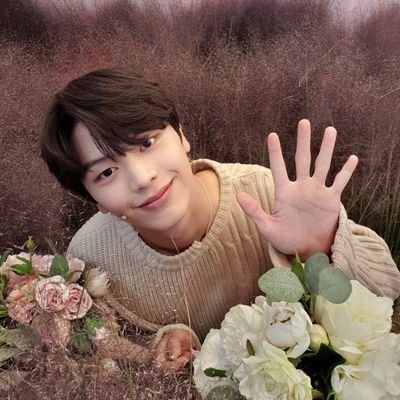 i stan a lot and cry a lot
