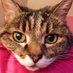 Denise Hayward (@denise_hayward1) Twitter profile photo Denise Hayward (@denise_hayward1) Twitter profile photo