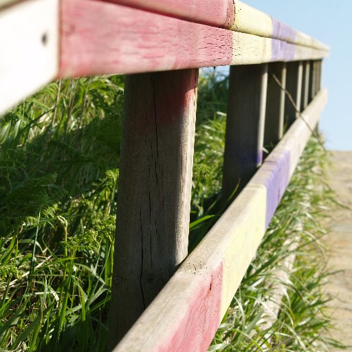 samelwarrior's profile picture. 