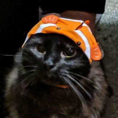 Marg0Pol0's profile picture. From away former ME guy now living away. World traveler. Slinging shit and memes. Making nerds cry.