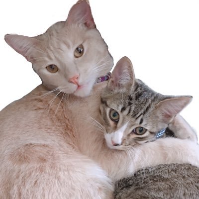 leoanddimitri's profile picture. igs: @hikachuuart @leoanddimitri @tucker_dobby_wigglebutt