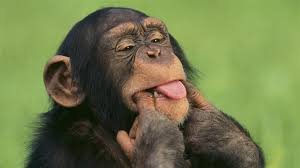 hermansantosaa's profile picture. No Past No Future