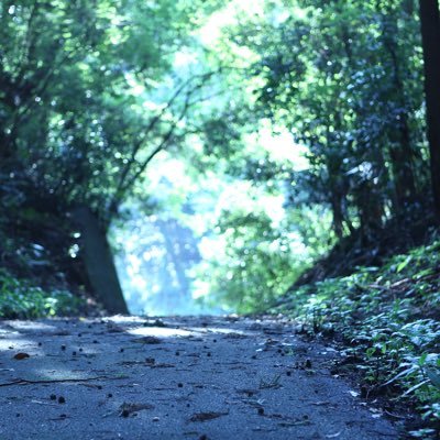 こんな時だからこそ綺麗なモノを見ていたい ほのぼのと写真撮ってます　栃木SCサポーターどぅえす