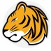Sanborn Tigers (@SanbornTigers) Twitter profile photo