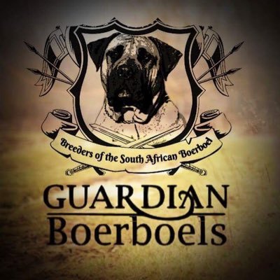 Guardian Boerboels