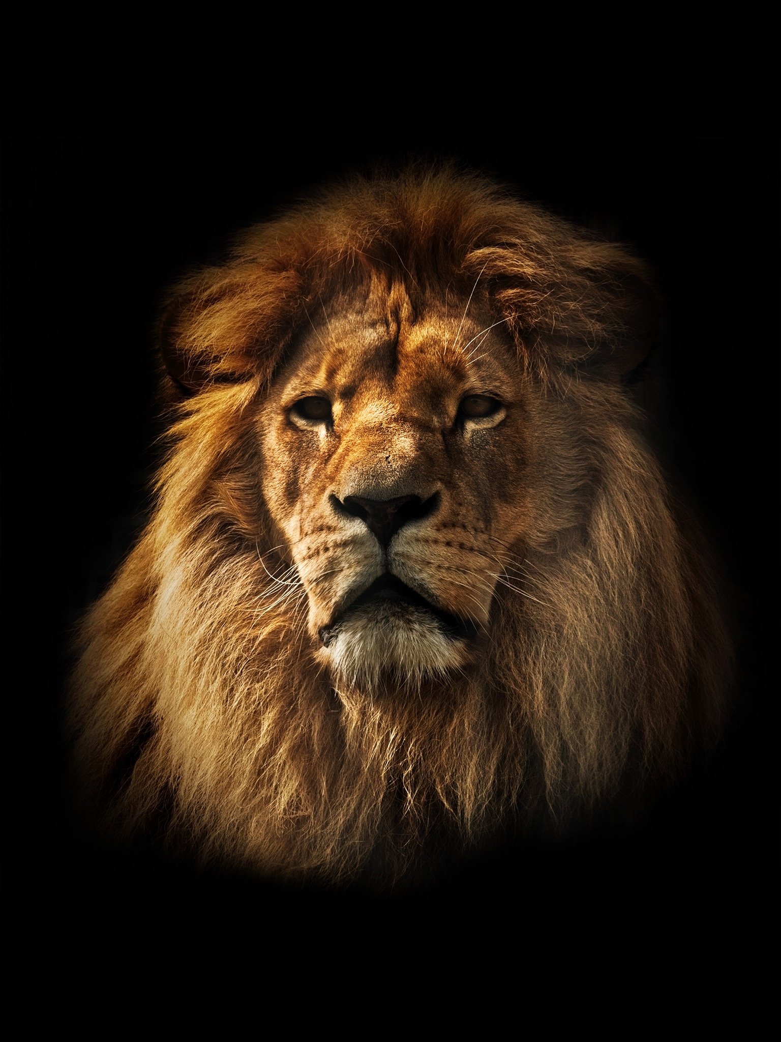 Great86806558's profile picture. 