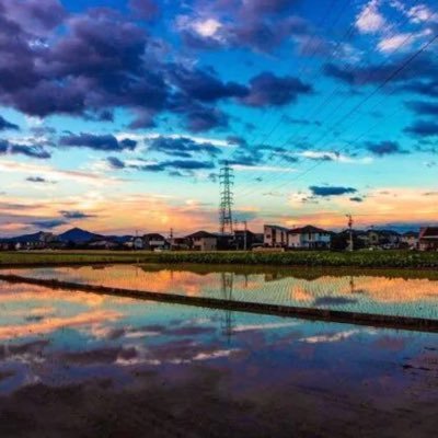 Young_X_Keep's profile picture. Vulnerability; Security;
