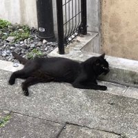 Takuma08 (@takuma086) 's Twitter Profile