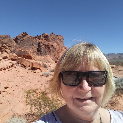 janmeehan's profile picture. Retired, manic knitter, member of Royal City Gogos, mom of two great grown ups and Nana to Ben and Luca.