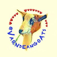 Varndean Goats(@varndeangoats) 's Twitter Profile Photo