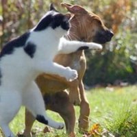 NNE (@nyadzanindobe) 's Twitter Profile Photo