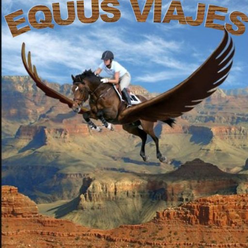 Somos una agencia de viajes especializada en temas ecuestres, dónde te llevamos a los mejores eventos ecuestres a nivel mundial y hacemos una cabalgata 🤠