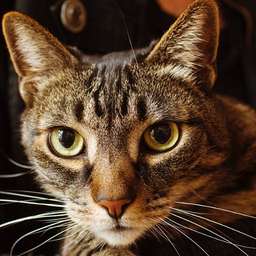 shiken_gokaku's profile picture. 関東の片田舎の40代おっさんです🏳️‍🌈 伊藤塾2026年合格目標 プラクティカルコース ↑伊藤塾2025年合格目標 プラクティカル ↑伊藤塾2024年合格目標 プラクティカル ↑伊藤塾2023年合格目標 プラクティカル ↑伊藤塾2022年合格目標 司法書士入門講座 山村先生クラス ↑2020年度 行政書士合格