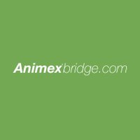 Animex Bridge (@animexbridge) 's Twitter Profile