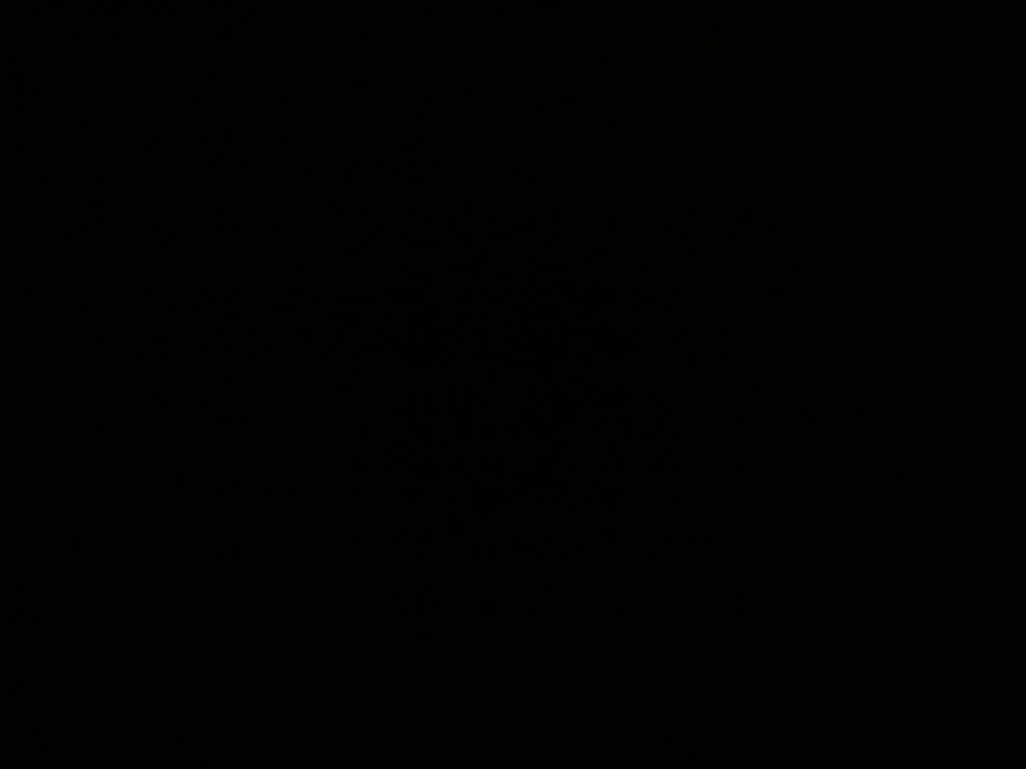 Rausahrese1's profile picture. 