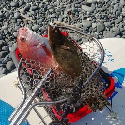 bakkurada's profile picture. ショアジギング、SUP 、格闘技、車、バイクとか多趣味な独身です。
今はポンコツsteed400で遊んでます。