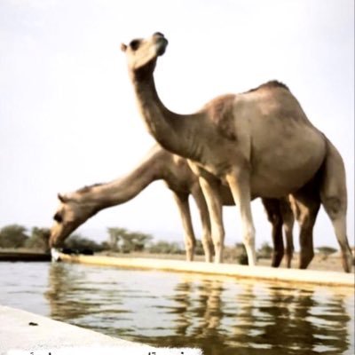 Jspm0k4bU8Ld3zW's profile picture. ✋🏻✋🏻