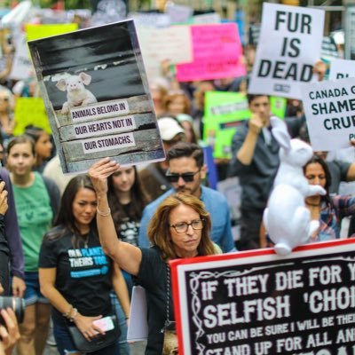 Animal Rights Activist -ANIMAL & HUMAN RIGHTS ARE NOT NEGOTIABLE! 💙VOTE💙 #FelonTrump #TrumpRapesMinors #TrumpLies