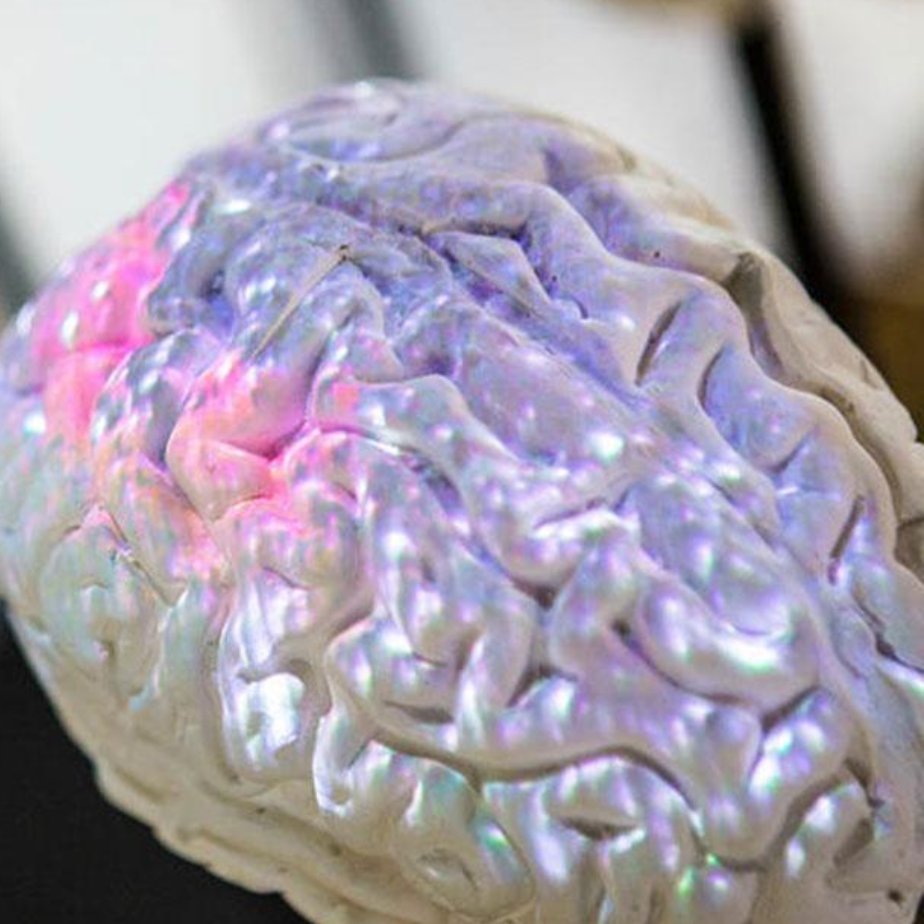 CompCogNeuro Profile