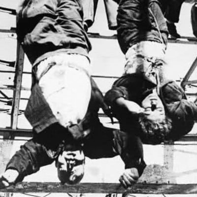 mussolini2018's profile picture. 