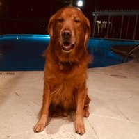 Milissa S Burge (@s_milissa) 's Twitter Profile