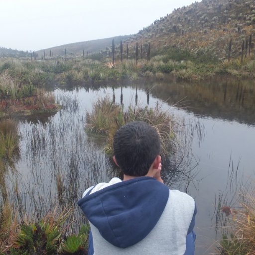 Aficionado de el ciclismo, observación de aves y a la conservación de humedales y bosques de mi ciudad, alrededores y mi pais