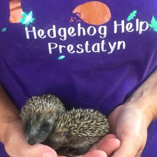 We provide care, treatment for wild hedgehogs and offer advice.