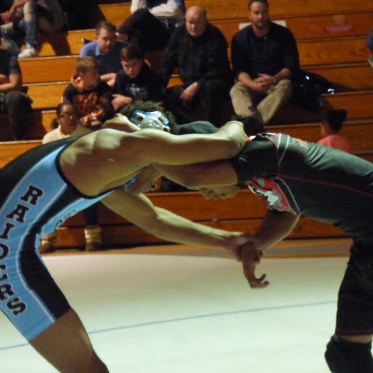 Wrestling Hornets 
2018 1A  South Regional Dual Team Finalist