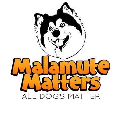 MallyMatters Profile Picture