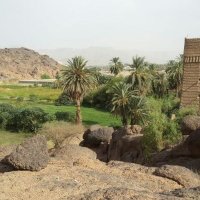 محمد صالح ال مسعد (@masaadmsm) 's Twitter Profile